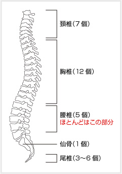 椎間板ヘルニアとは 北青山dクリニック